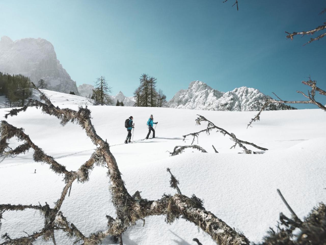 Alpengasthof Pichler Sankt Veit in Defereggen Zewnętrze zdjęcie
